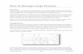 How to Manage Large Projects - Autodeskimages.autodesk.com/adsk/files/how_to_manage_large_projects_in... · How to Manage Large Projects Overview ... you have in the project, AutoCAD