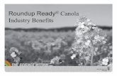 Roundup Ready Canola Industry Benefits - Australian … · Timeline for Roundup Ready Canola in Australia 2009 WA Govt Exemption for small scale commercial demonstration late 1990s