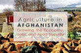 AFGHANISTAN - ARTFartf.af/images/uploads/ASR_PPT_for_ARTF_Strategy... · to drive growth and job creation in Afghanistan? 2. What are the most important sector-specific policy and