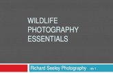 WILDLIFE PHOTOGRAPHY ESSENTIALS - pix2love.com · Why Wildlife? One of the most difficult areas of photography Wildlife are undependable – they move Safety concerns when approaching