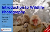 4 Week Online Photography Course Introduction to Wildlife ... to... · PDF fileIntroduction to Wildlife Photography With Heather Angel A Guide to Nature and Wildlife Photography Lesson
