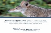 Wildlife Disservice: The USDA Wildlife Services ... DISSERVICE: THE USDA WILDLIFE SERVICES’ INEFFICIENT AND INHUMANE WILDLIFE DAMAGE MANAGEMENT PROGRAM | 2 EXECUTIVE SUMMARY For
