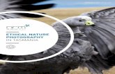 ETHICAL NATURE PHOTOGRAPHY IN TASMANIA - … · Ethical nature photography in Tasmania Taking photos of nature is an enjoyable ... impact or interfere with wildlife or threatened