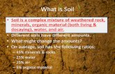 What is Soil - Earth and Environmental · What is Soil •Soil is a complex ... Effects of Particle Sizes ... •What determines the composition of a soil? •Mostly the bedrock,