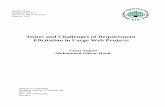 Issues and Challenges of Requirement Elicitation in Large ...830517/FULLTEXT01.pdf · 6.7.2 Diagramming ... requirements elicitation process ...