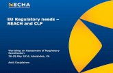 EU Regulatory needs REACH and CLP - ILSI Globalilsi.org/hesi/wp-content/.../12/EU-Regulatory-Needs-REACH-and-CLP.pdfEU Regulatory needs – REACH and CLP ... o Only substances listed
