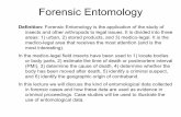 Forensic Entomology - Biology Courses Servercourses.biology.utah.edu/feener/5445/Lecture/Bio5445 Lecture 26.pdf · Forensic Entomology Definition: ... in forensic cases and how these