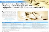ten catfish anglers what their favorite ... and channel catfish are never one to pass ... likely varies with the seasons and time of day.