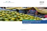 Full Paper: Making Public-Private Partnerships Work in ... · RSBY Rashtriya Swasthya Bima Yojana . SAC Seguro Agrícola Catastrófico . SAGARPA Secretariat of Agriculture, Livestock,