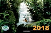 A local hunter wades a stream in the Condor Range on the ... Calendar 2018.pdf · Sustaining Tropical Forests 2018 A local hunter wades a stream in the Condor Range on the border
