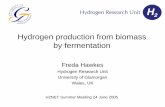 Hydrogen production from biomass by fermentation · Hydrogen production from biomass by fermentation Photofermentation-Advantage: increased H 2 yield. Disadvantage: photobioreactors