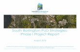 South Burlington PUD Strategies: Phase I Project …D1A8A14E-F9A2-40BE-A701-417111F9426B...South Burlington PUD Strategies: Phase I Project Report ... Discretionary (DRB) Review: Purpose,