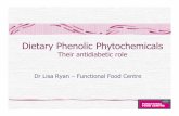 Dietary Phenolic Phytochemicals - Oxford Brookes …€¦ ·  · 2012-12-03Dietary Phenolic Phytochemicals ... activity, modulation of ... Antidiabetic Role of Polyphenols?