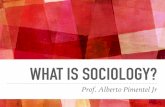 WHAT IS SOCIOLOGY? - Weeblyprofessoralbertopimenteljr.weebly.com/uploads/8/1/0/4/...WHAT IS SOCIOLOGY? Prof. Alberto Pimentel Jr WHAT IS SOCIOLOGY? Sociology is the scientific study