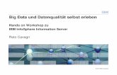Hands on Workshop zu IBM InfoSphere Information Server€¦ ·  · 2013-11-20Hands on Workshop zu IBM InfoSphere Information Server Reto Cavegn ... Integrating and transforming data