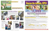 US POSTAGE PAID - Rescue The Animalsrescuetheanimals.org/uploads/docs/August_2015_Newsletter_low-res.pdf · US POSTAGE PAID Permit #200 Abilene ... FUZZY ACL SURGERY ROCKY BLIND &