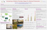 Screening of Native Floridian Algae For Biofuel Production - Algae... ·  · 2014-03-26Screening of Native Floridian Algae For Biofuel Production ... •Lipid extraction from de-watered