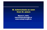 M. tuberculosis as seen from M. avium - moleculartb.org · M. tuberculosis as seen from M. avium Marcel A. Behr marcel.behr@mcgill.ca . Overview ... glycolipid locus List D: …