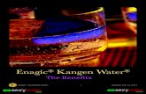 Enagic Kangen Watersexywater.com.au/wp-content/uploads/2016/01/Sexy-Water-Benefits.pdf · Kangen Water ® - Beneﬁts ...