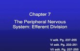 Chapter 7 The Peripheral Nervous System: Efferent …biology/Classes/255/Chapter7.pdfPeripheral Nervous System Somatic Autonomic Nervous Nervous System System Consist of cranial Consist