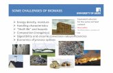 SOME CHALLENGES OF BIOMASS - supergen … · PRETREATMENT OF BIOMASS Physical Methods: ... STATUS OF TECHNOLOGIES ... enzyme processes Planned ...