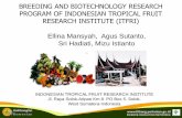 BREEDING AND BIOTECHNOLOGY RESEARCH PROGRAM OF INDONESIAN ...itfnet.org/Download/ISTF2017/S3P3.pdf · breeding and biotechnology research program of indonesian tropical fruit research