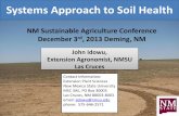 Systems Approach to Soil Health - College of Agricultural ...aces.nmsu.edu/programs/sare/documents/System Approach to Soil... · Systems Approach to Soil Health John Idowu, Extension