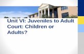 Unit VI: Juveniles to Adult Court: Children or Adults? about rational choice theory as it related ...  ... Juveniles to Adult Court: Children or Adults?