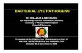 BACTERIAL EYE PATHOGENS - UAB School of Optometry year/Micro/powerpoint... · BACTERIAL EYE PATHOGENS Dr. WILLIAM J. BENJAMIN Eye Physiology & Ocular Prosthetics Laboratory University