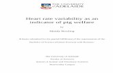 Heart rate variability as an indicator of pig welfareporkcrc.com.au/wp-content/uploads/2014/05/Mandy-Bowling-thesis.pdf · Heart rate variability as an indicator of pig welfare by
