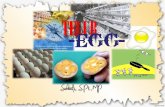 TELUR -EGG- · - thickness : 10 – 30 micro meter - inhibit of microorganism penetration from the pore - to protect infiltration of other agent from outer egg shell. Egg shell (11%):