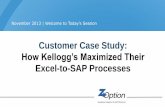 Excel-to-SAP Processes - Z Option Modules: FI/ CO/ SD/ MM/ PS and many more GLSU Customer since: 2003 Process Before GLSU: In-house designed program ™ Kellogg’s – Typical Uses