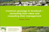 Common grazings in Scotland assessing their value … grazings in Scotland – assessing their value and rewarding their management ... Net margin before subsidy -2700??