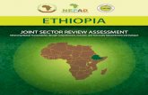 AN ASSESSMENT OF THE AGRICULTURAL JOINT ...resakss.org/2014conference/docs/Ethiopia_JSR_Assessment.pdf6 MoFED Ministry of Finance and Economic Development MoT Ministry of Trade MoU
