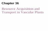 Resource Acquisition and Transport in Vascular Plants in Vascular Plants . Overview: Underground Plants • The success of plants depends on their ability to gather and conserve resources