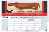 angus kalender 2015 - SA Stud Book ANGUS... · School Terms / Skool Kwartale 2015 Waterval Angus Veiling Clocolan Frikkie Fick 083 868 0377 Stud Book Cattle Forum Bloemfontein Stamboek