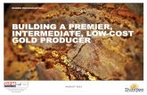 BUILDING A PREMIER, INTERMEDIATE, LOW-COST … VISION AND STRATEGY Dundee Precious Metals 9 Building DPM into a premier, intermediate, low-cost gold producer Optimize value …