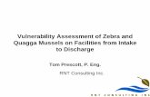 Vulnerability Assessment of Zebra and Quagga Mussels on ... · FOREBAY TO DIESEL FIRE PUMP ROOM ... 2.1 .4 Tower (specify construction material) ... Risk to Cooling Water Systems