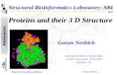 Proteins and their 3 D Structure - Bioinformatics Laboratory · SMS and Protein Dossier –Drug Target DB. Goran Neshich Structural Bioinformatics 1. Sequence similarity search 2.