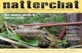 Froglife’s newsletter - amphibians, reptiles & nature news ... · Froglife’s newsletter - amphibians, reptiles & nature news ... Froglife events & training £2.50 where sold spring/summer