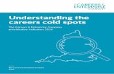Understanding the careers cold spots - Careers and … · VIII Understanding the careers cold spots . ... an academic high flyer or at the bottom of your class, we think that