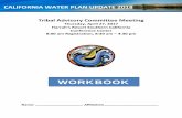 WORKBOOK - Department of Water Resources 27, 2017 · WORKBOOK . Tribal Advisory Committee ... Chapter 2 will summarize water resources management assessments with an ... o Access