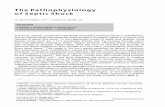 The Pathophysiology of Septic Shock - xa.yimg.comxa.yimg.com/.../848935072/name/pathophysiology_septic_shock.pdfThe Pathophysiology of Septic Shock O.OkorieNduka,MDa ,b *,JosephE.Parrillo,MDc