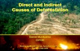 Direct and Indirect Causes of Deforestation · South and Southeast Asia ... • Understanding the underlying or indirect causes of deforestation is crucial to address REDD and ...