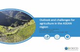 Outlook and challenges for agriculture in the ASEAN region 1 Outlook... · Outlook and challenges for agriculture in the ASEAN ... Southeast Asia has made remarkable progress on food