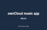 Morrismorrisjobke.de/slides/2014-08-30 ownCloud music app.pdfMusic Sons of Riddermark 0:28 / 4:05 Trollshaws Show all 13 songs ... Hans Zimmer & Klaus Badelt Invincible (2002) mjob