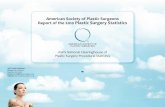 American Society of Plastic Surgeons Report of the 2010 ... · Report of the 2010 Plastic Surgery Statistics. Please credit the American Society of Plastic Surgeons ... •Business