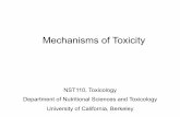 Mechanisms of Toxicity - College of Natural Resources, UC ...nature.berkeley.edu/~dnomura/pdf/Lecture6Mechanisms3.pdf · Mechanisms of Toxicity ... Inhibitors of electron transport