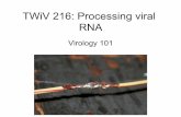 TWiV 216: Processing viral RNA mRNAs 1 00 map units Adenoviral DNA Late 11 Pre-mRNA 5' c 12 IWo possible 3' RNA splicing splice sites kDa Tripartite leader sequence LI mRNAs 52/55