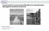 Treatment Process Intensification for Sustainable ... · Treatment Process Intensification for Sustainable Biological Nutrient Removal ... (2011) Biological Wastewater Treatment,